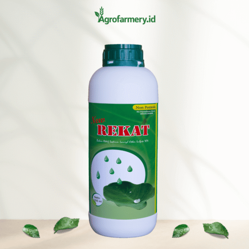 New Rekat 1 Liter